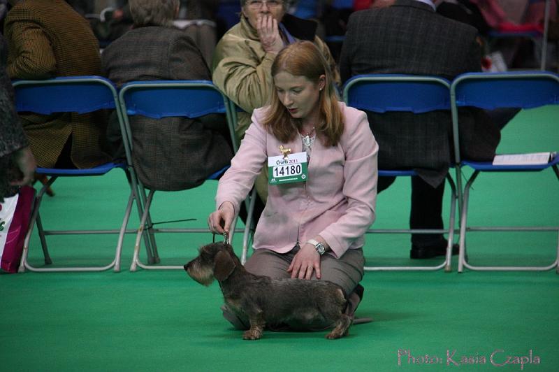 Crufts2011_2 691.jpg